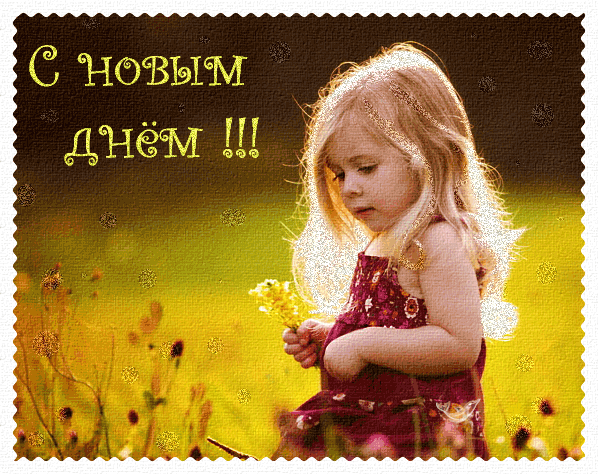 Анимашка Солнечная поляна