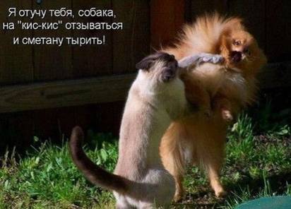 https://i.mycdn.me/image?t=35&bid=848742119948&id=838555477448&plc=WEB&tkn=*37ZkQpcsmtSdCEttuMLX7AlxPOU