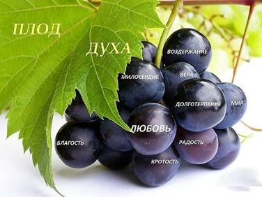  Плоды Святого Духа