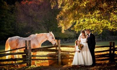 http://pravlife.org/sites/default/files/styles/article_575/public/field/image/autumn-wedding-1.jpg?itok=Hsv-VU4v